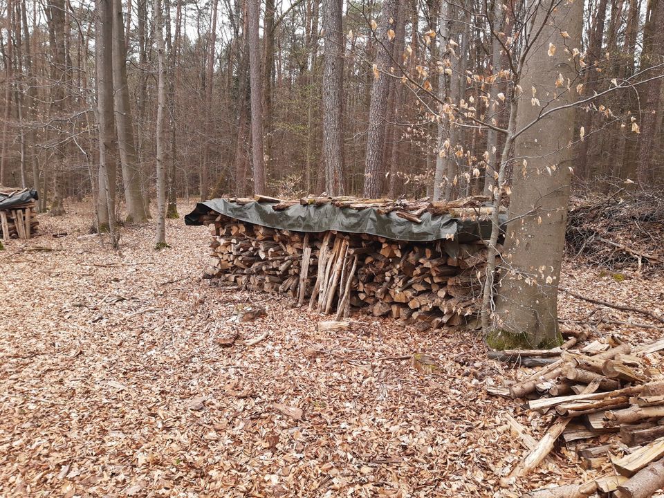 Brennholz (Fichte/Kiefer/Tanne) trocken 1m Scheite 75 pro Ster in Limbach