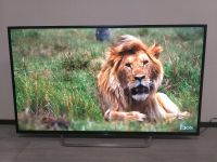 Sony 55 zoll Smart TV YouTube Netflix Playstore Fernbedienung Nordrhein-Westfalen - Erkrath Vorschau