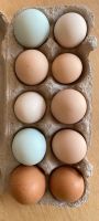 Frische Eier aus biologischer Freilandhaltung Niedersachsen - Remlingen Vorschau