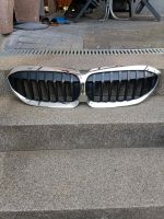 BMW 3er G20 G21 Der Originale Kühlergrill Rheinland-Pfalz - Steinebach (Sieg) Vorschau