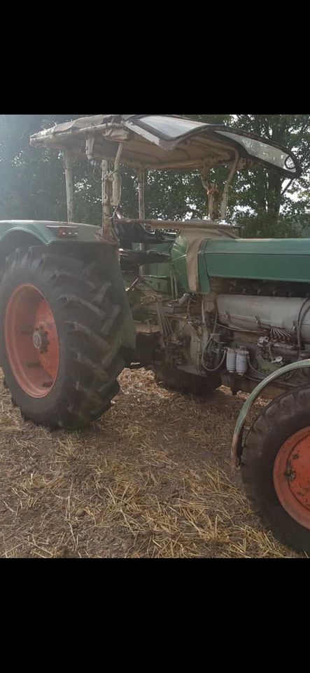 Fritzmeier Verdeck mit Überrollbügel Deutz IHC Fritzmeyer Porsche in Drelsdorf 