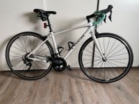 Rennrad Trek Domane AL 3 Damen 50cm Hessen - Kassel Vorschau