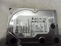 Western Digital interne Festplatte 3,5 Zoll 500 GB gebraucht Nordvorpommern - Landkreis - Franzburg Vorschau