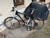 Dynamics Cross Fahrrad Sylt - Westerland Vorschau
