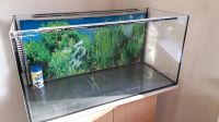 Fisch Aquarium Hessen - Vellmar Vorschau