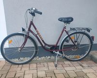 Diamant Fahrrad Damenrad 26" weinrot Sachsen - Lauta Vorschau