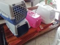 Katzentransportbox und Katze Klo sowie Einstreu Brandenburg - Großderschau Vorschau