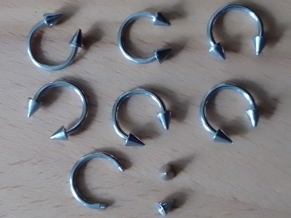 Edelstahl Piercing Ring Nase Augenbraue Ohr 2Spitzen Innengewinde in Isenbüttel