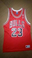NBA Chicago Bulls MICHAEL JORDAN offizieller Trikot 1995-1996 Baden-Württemberg - Bretten Vorschau