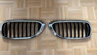 BMW 5er G30 / G31 Niere, Grill vor Facelift. Neu Bayern - Feuchtwangen Vorschau