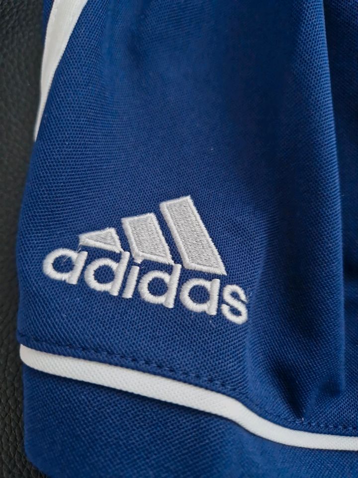 Adidas Aeroready Fussball Trikot Hose Short Gr L Neu ovp blau in Bopfingen