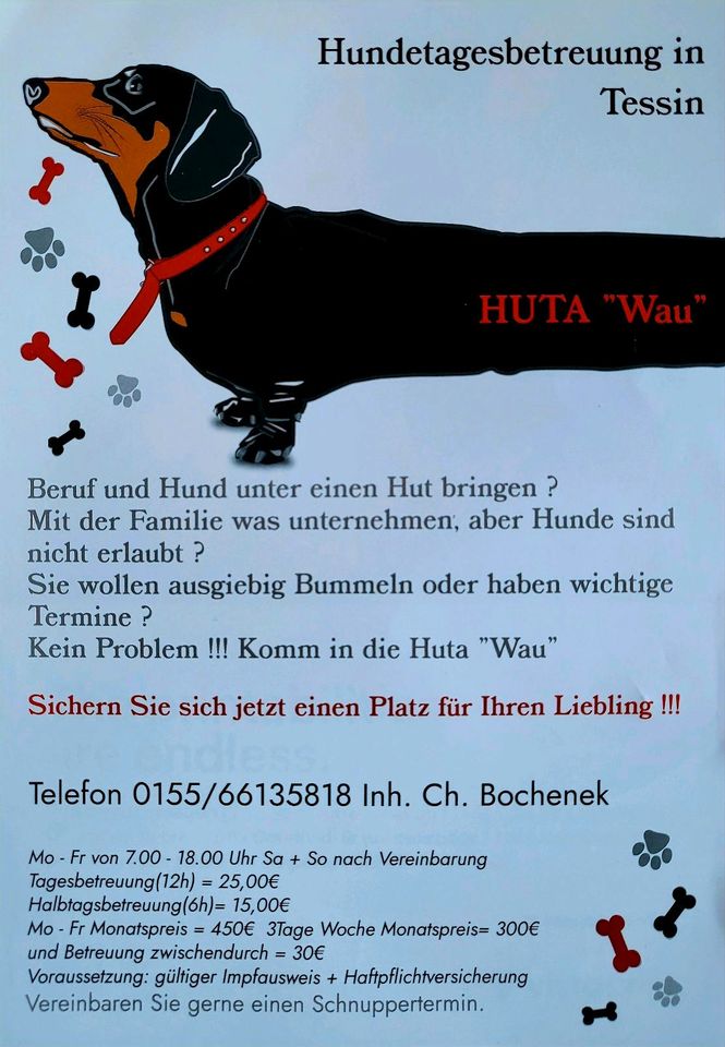 Biete Hundetagesbetreuung +Hundetagesstätte + in Ribnitz-Damgarten