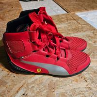 Puma Ferrari Turnschuhe Gr .44 Nordrhein-Westfalen - Arnsberg Vorschau