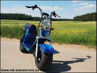 NEUFAHRZEUG| BigWheeler | ElektroRoller | E-Scooter 1.5kW | Bayern - Büchenbach Vorschau