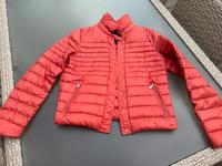 Peuterey Lightweight Daunenjacke Hummer Gr. 46(40) Hessen - Bad Homburg Vorschau