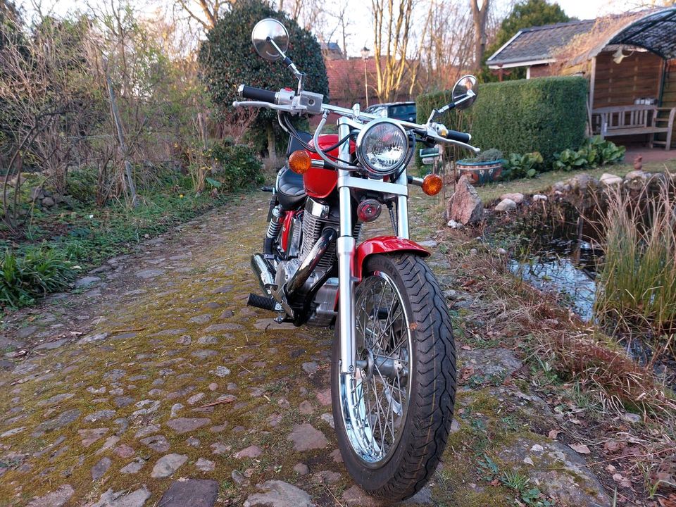 Suzuki Savage  LS 650 in Drestedt