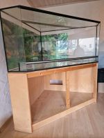 Eckterrarium / Terrarium mit Unterschrank Hessen - Groß-Umstadt Vorschau