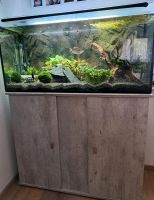 Aquarium 200 Liter mit Unterschrank kpl. Niedersachsen - Lehrte Vorschau