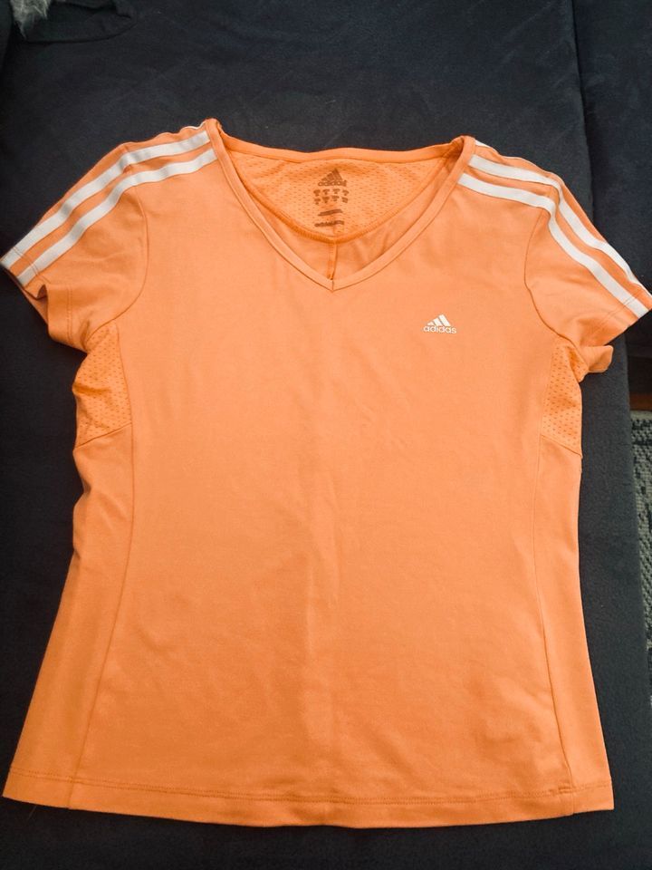 Adidas Sport Shirt 38 in Laubach