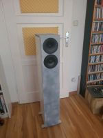 DIY Hifi Stand Lautsprecher First Serve Hivi Research Lavoce Hessen - Offenbach Vorschau