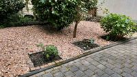 Gartenarbeit / Renovierung, Winterdienst Nordrhein-Westfalen - Burscheid Vorschau