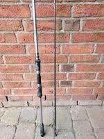 Shimano Speedmaster Sea Bass Spinnrute 270cm, 20-60gr.WG Schleswig-Holstein - Hohn Vorschau