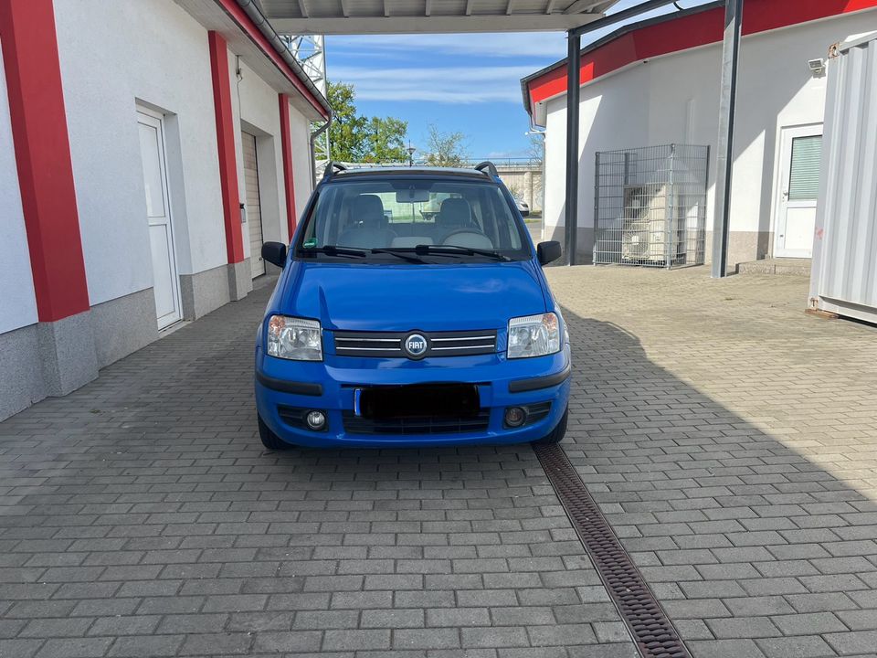 Fiat Panda 1.2 Automatik! in Falkensee