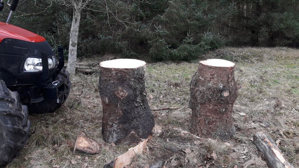 Hauklötze zum Holzhacken oder als Deko in Enge-Sande