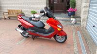 Yamaha YP125 Niedersachsen - Lohne (Oldenburg) Vorschau