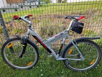 Univega Mountainbike Bad Doberan - Landkreis - Bentwisch Vorschau