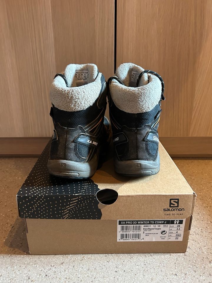 Salomon Winterstiefel XA Pro Winter schwarz Gr. 36 in Pappenheim