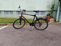 Raleigh Fahrrad 28 zoll XXL Bayern - Erding Vorschau