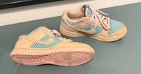 Nike Dunk Heat Wave S in EUR 37,5 Sachsen-Anhalt - Salzwedel Vorschau