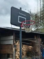 Tarmak  Baskettball Korbanlage höhenverstellbar Rheinland-Pfalz - Oppenheim Vorschau