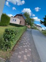 Rasenmähen, Hecke schneiden, Arbeit nach Absprache Rheinland-Pfalz - Wittlich Vorschau