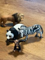 Schleich Zootiere, Affe, Löwe, Zebra, Panda Nordrhein-Westfalen - Bocholt Vorschau