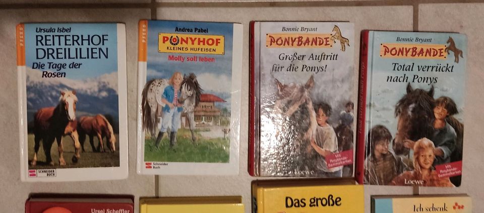 Buch-Paket,Pony,Pferde/-witze,Conni,Tor,Kugelblitz,Drei!!!,8-12J. in Heilbronn