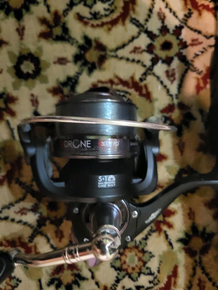 Shimano Forcemaster Comercial 12' Float+Mikado Rolle Friedfisch in Rotenburg