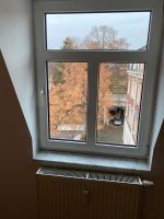 Fensterreinigung für Privat und Gewerbe Chemnitz - Kappel Vorschau