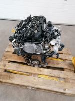 Motor Komplett CFHF 2.0 TDI 77.000km 140 PS Top Engine Brandenburg - Küstriner Vorland Vorschau