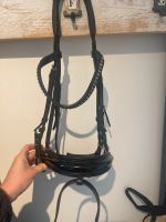 Kieffer Trense Comfort Paris Lack schwarz WB Nordrhein-Westfalen - Vlotho Vorschau