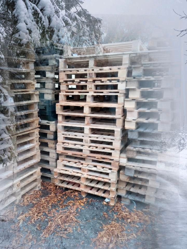 Einwegpaletten mehrweg Paletten bauen basteln Recycling Feuerholz in Eilenburg