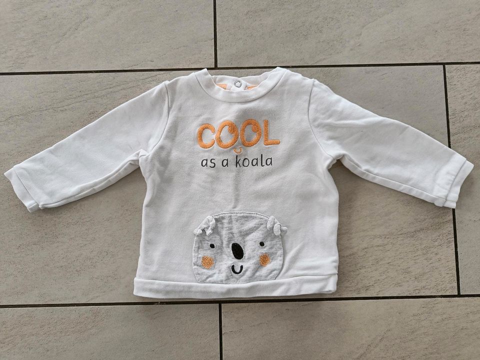 Koala Pullover Shirt 74 in Rheinland-Pfalz - Elkenroth | Babykleidung Größe  74 kaufen | eBay Kleinanzeigen ist jetzt Kleinanzeigen