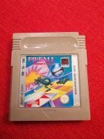 Gameboy Spiel Pinball Niedersachsen - Bockenem Vorschau