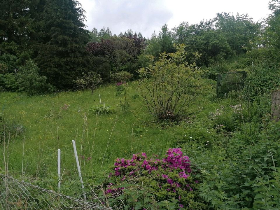 Gartengrundstück zum Kauf in Suhl