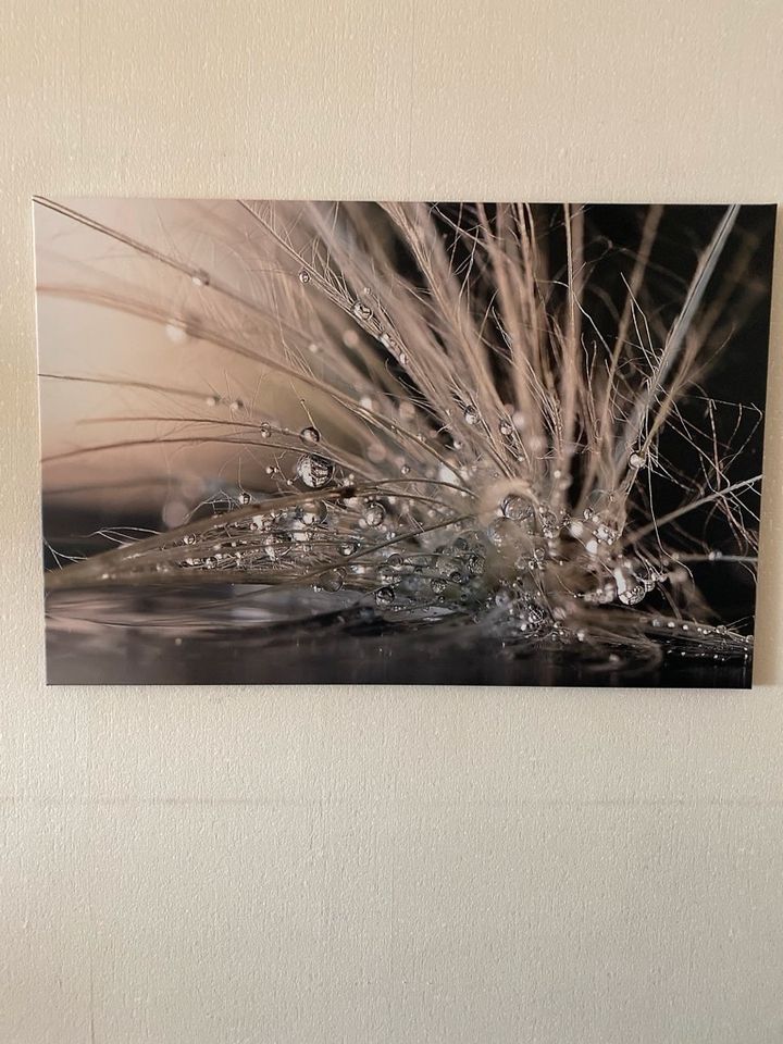 XXL Leinwandbild 120x80 Zahirimehr-Wassertropfen in Obertshausen