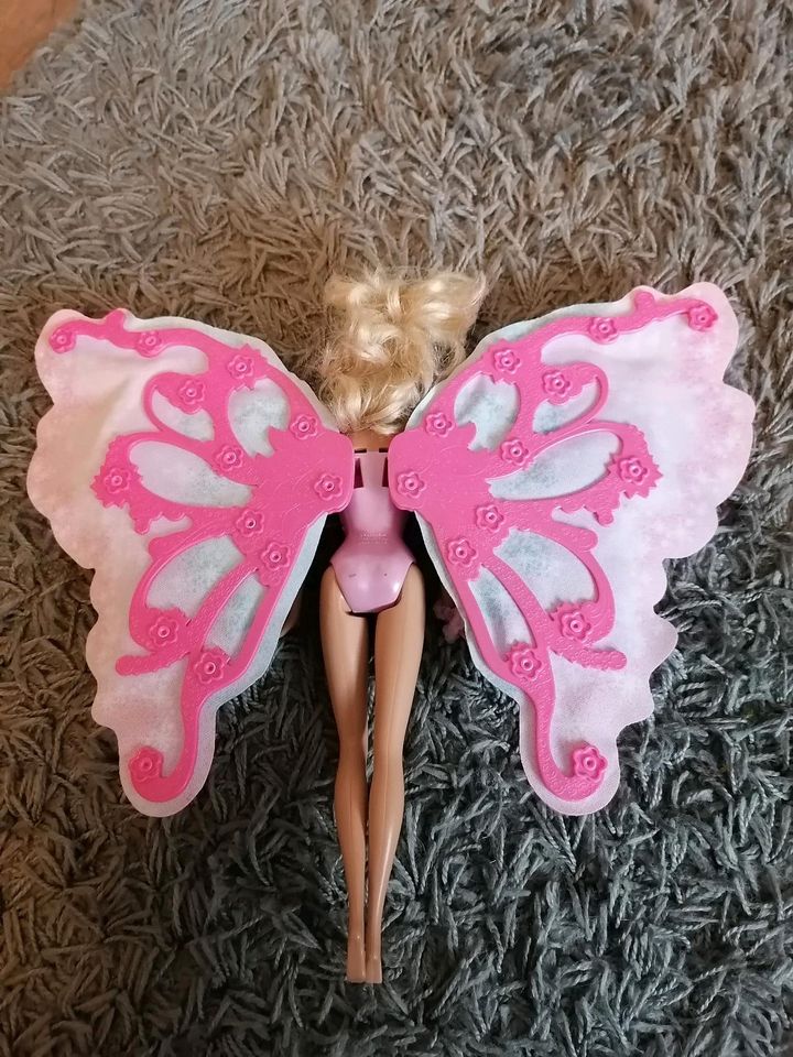 Barbie Schmetterling in Geseke