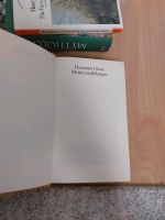 Herman Hesse Meistererzählungen Buch München - Sendling-Westpark Vorschau