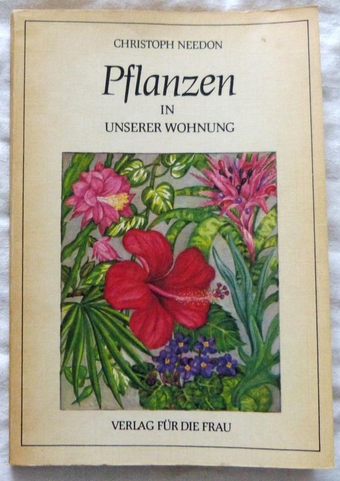 Garten Pflanzen Kartoffeln – DDR in Cottbus