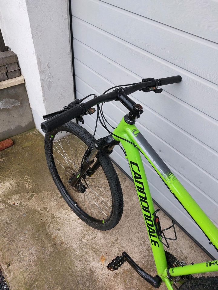 Cannondale Trail 7  29 Zoll in Wittlich